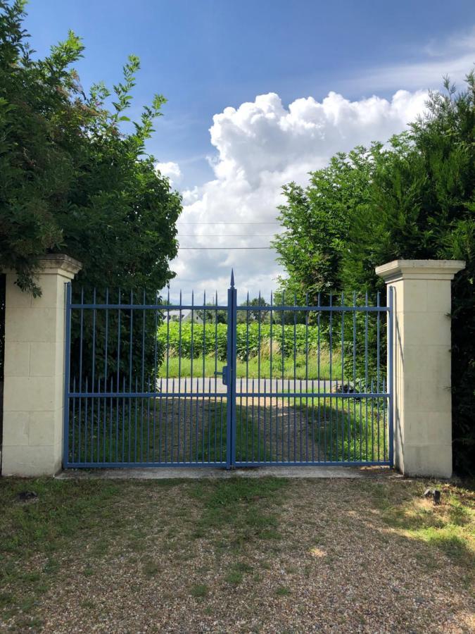 Villebernier Chambres D Hotes Avec Piscine Et Spa La Foliere Saumur מראה חיצוני תמונה