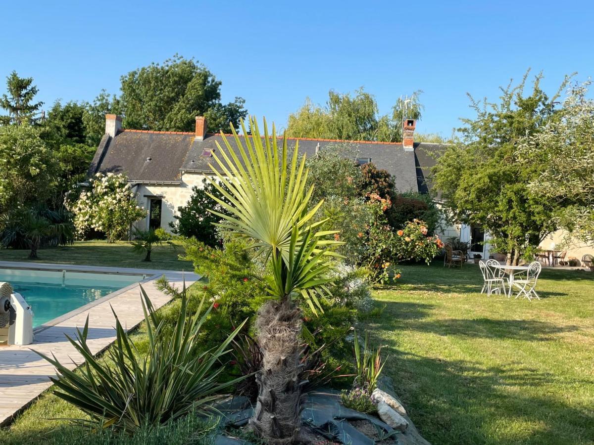 Villebernier Chambres D Hotes Avec Piscine Et Spa La Foliere Saumur מראה חיצוני תמונה